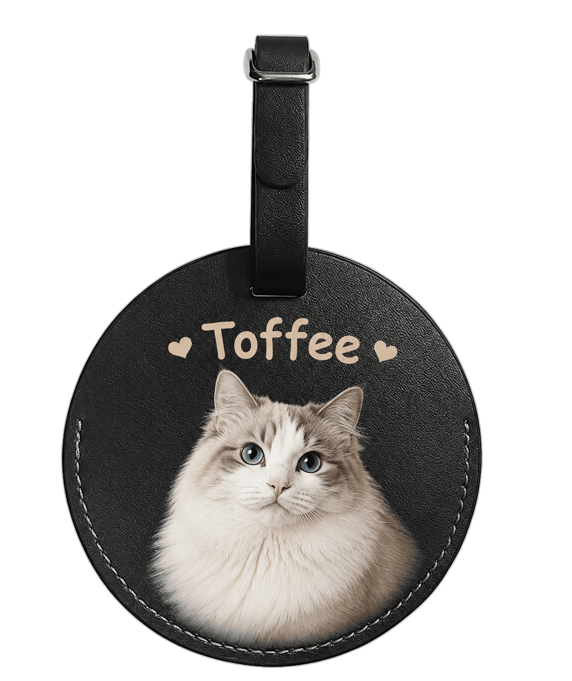 Pet luggage tag